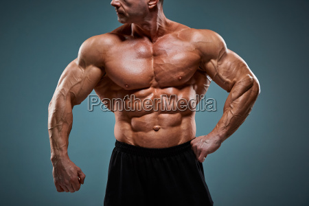 The torso of attractive male body builder on gray background.