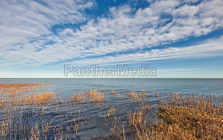 Sea,  ocean or beach coast with brown grass and beautiful open view of clouds in a blue sky background and copy space. Cloudy landscape of the horizon in the morning and a dry turf shore in dark water.