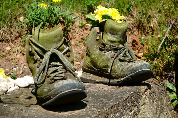 Old hiking boots with flowers in the garden Stock Photo 14595323 PantherMedia Stock Agency