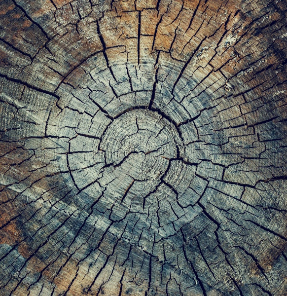 textura de madera agrietada