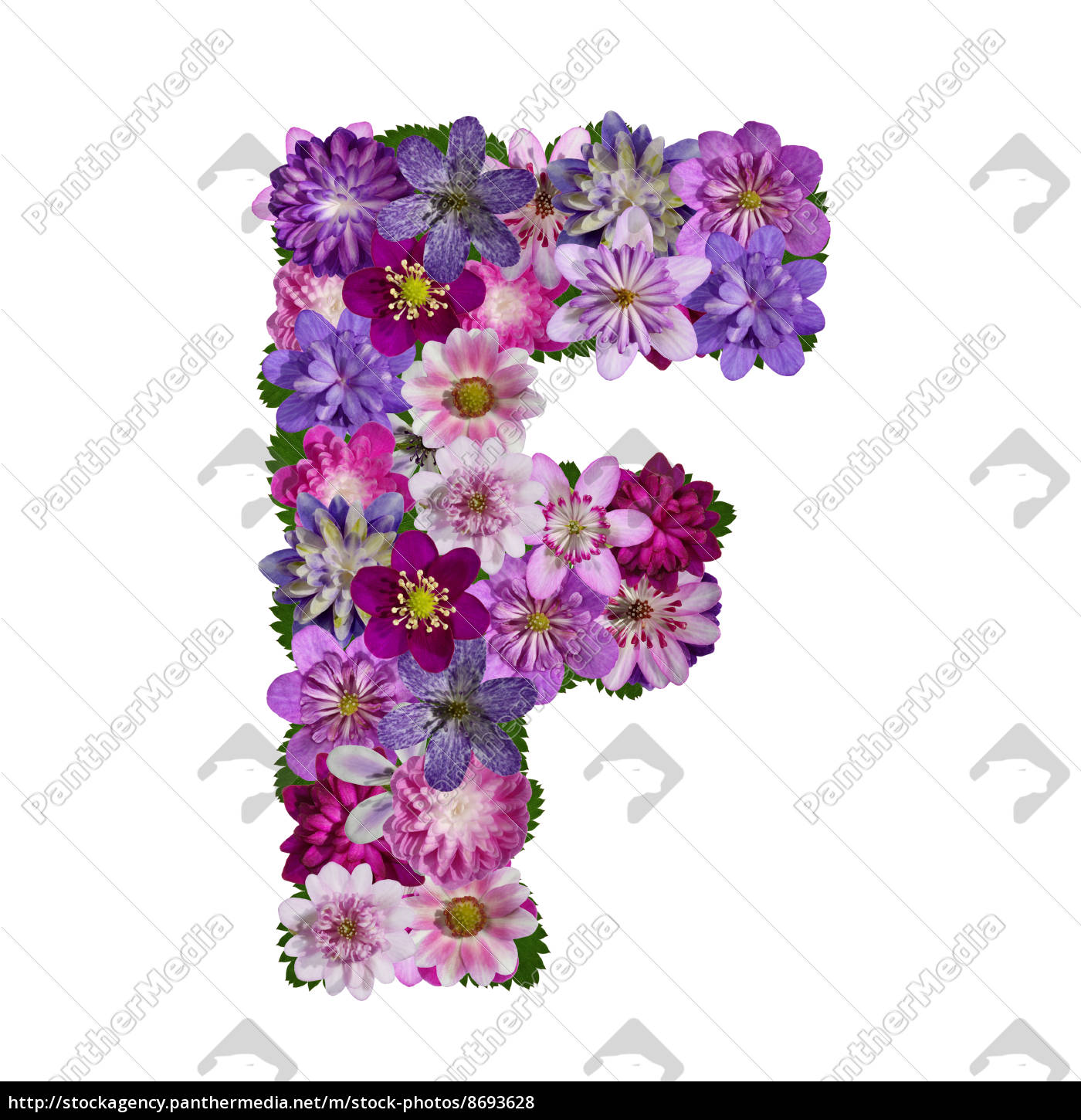 flowers alphabet letter f - Royalty free photo 8693628 | PantherMedia  Stock Agency