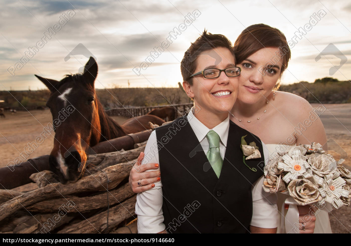 Recém-casados do mesmo sexo com cavalo - Stockphoto #9146640 | Banco de  Imagens Panthermedia