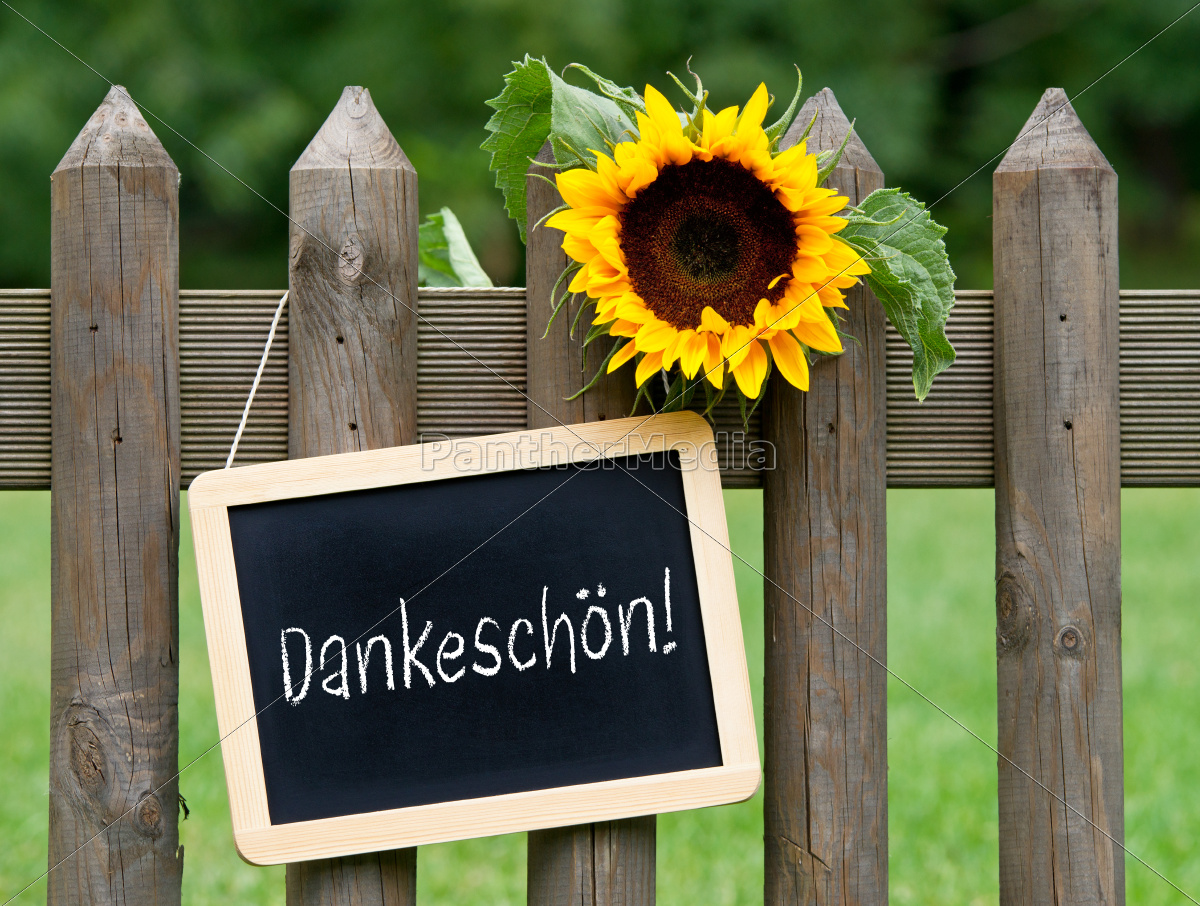 Dankeschön - Stockfoto #9771006 | Bildagentur PantherMedia