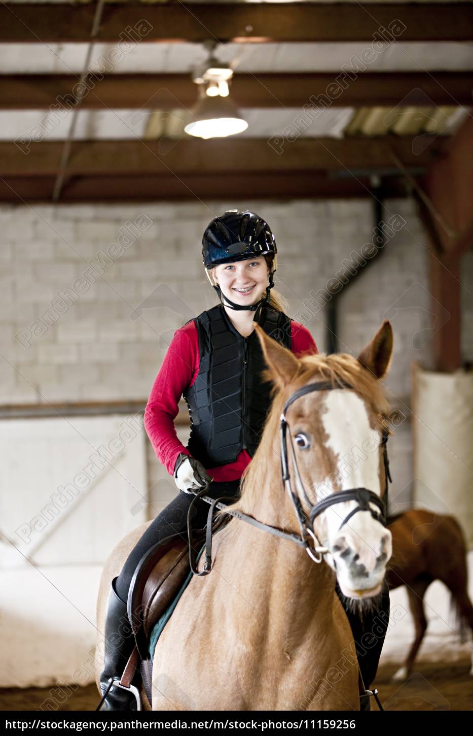 Teen Mädchen Reiten Pferd - Lizenzfreies Bild 11159256 | Bildagentur  PantherMedia