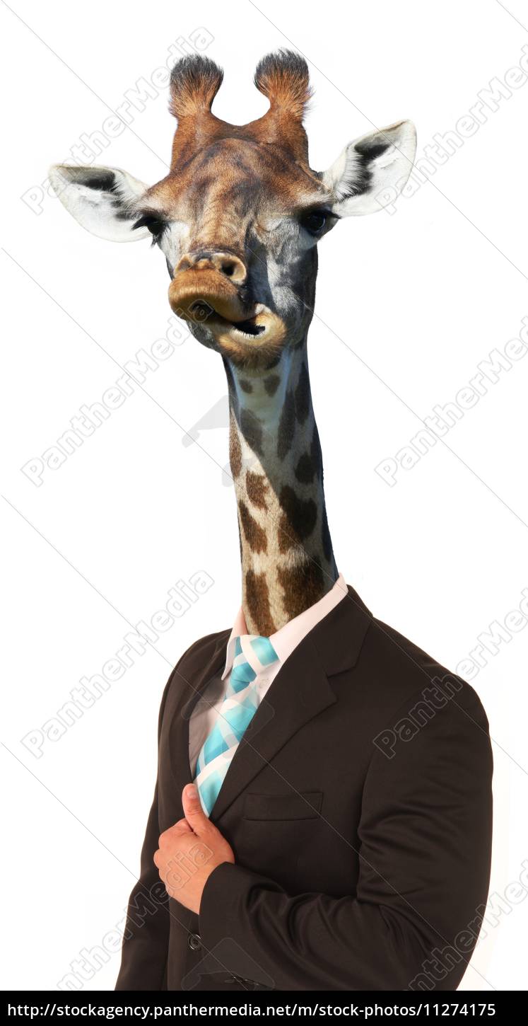 Funny Giraffe Man Concept - Stock Photo 11274175 | PantherMedia Stock  Agency