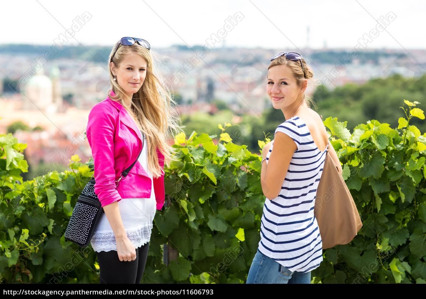 Dos mujeres bonitas y jóvenes que compran escaparates - Stockphoto  #11606793 | Agencia de stock PantherMedia