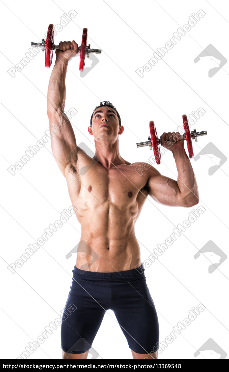 hombre joven sin camisa musculoso ejercitando los - Stockphoto #13369548 |  Agencia de stock PantherMedia