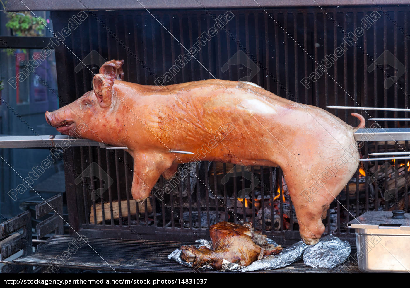 gebratenes schwein - Stockfoto 14831037 | Bildagentur PantherMedia