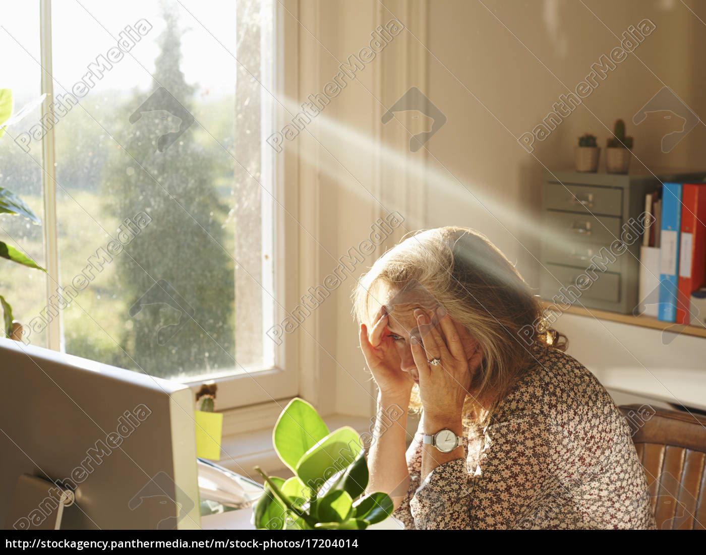 Stressed woman using computer in sunny home office - Stockphoto ...