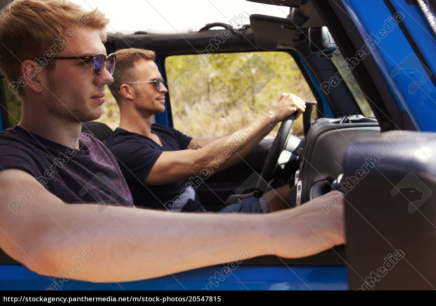 Dois amigos do sexo masculino dirigindo o carro de - Fotos de arquivo  #20547815 | Banco de Imagens Panthermedia