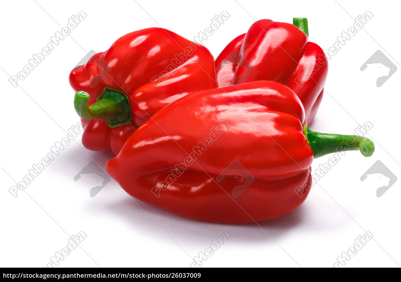 Pile of Trinidad seven pod peppers paths - Royalty free image #26037009 ...