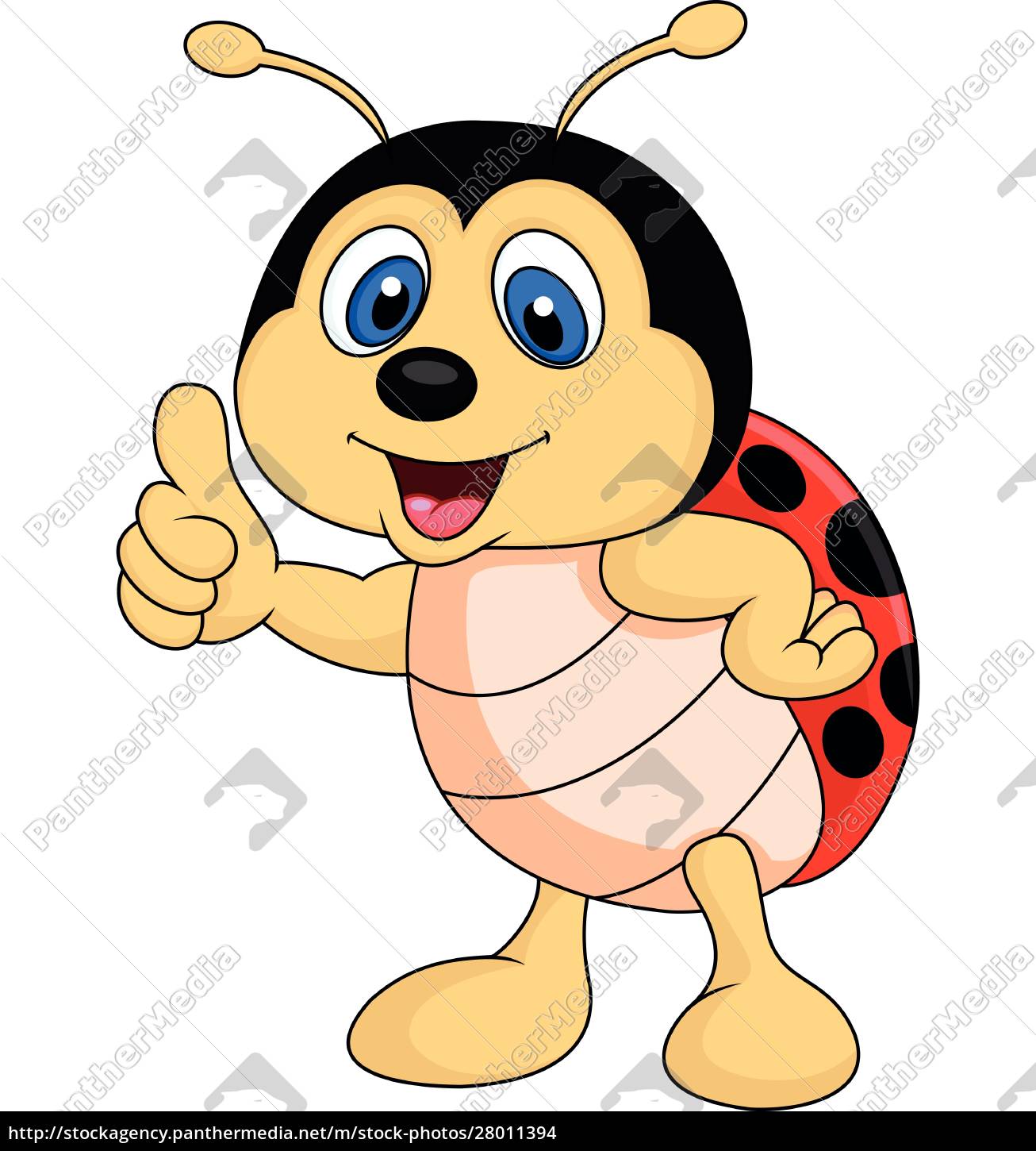 Lindo ladybug dibujos animados pulgar hacia arriba - Stockphoto #28011394 |  Agencia de stock PantherMedia