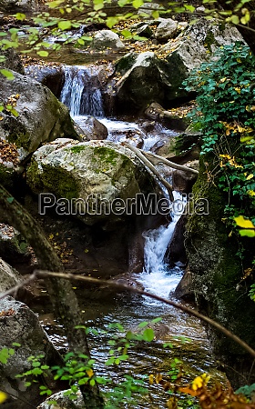 Kleiner Fluss im Wald mit Stromschnellen und - Lizenzfreies Bild ...